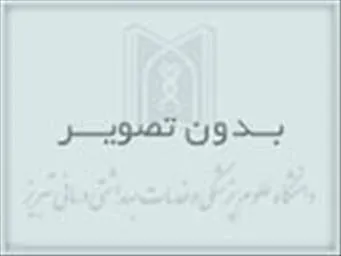 برگزاری مدرسه تابستانی کمیته آموزش پزشکی ایمسا