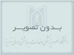 برگزاری مدرسه تابستانی کمیته آموزش پزشکی ایمسا